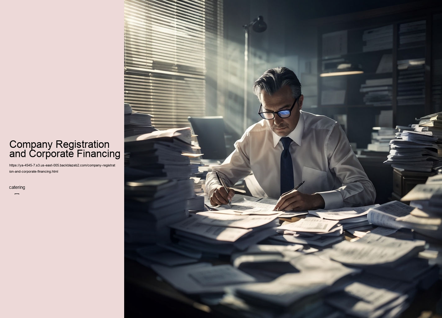 Company Registration and Corporate Financing